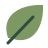 Зелёный лист